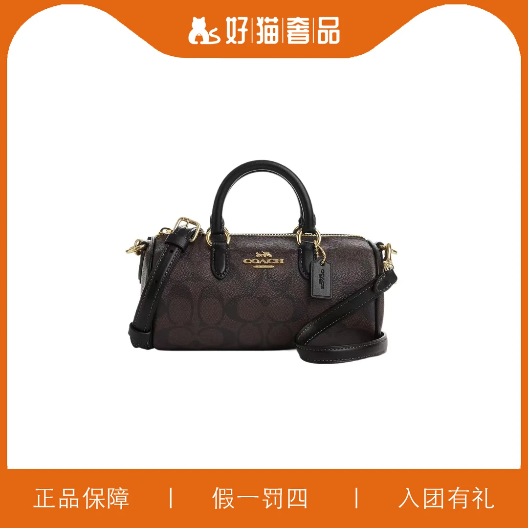 95新 COACH/蔻驰 蔻驰老花巴比龙包/X1207/19X10X10
