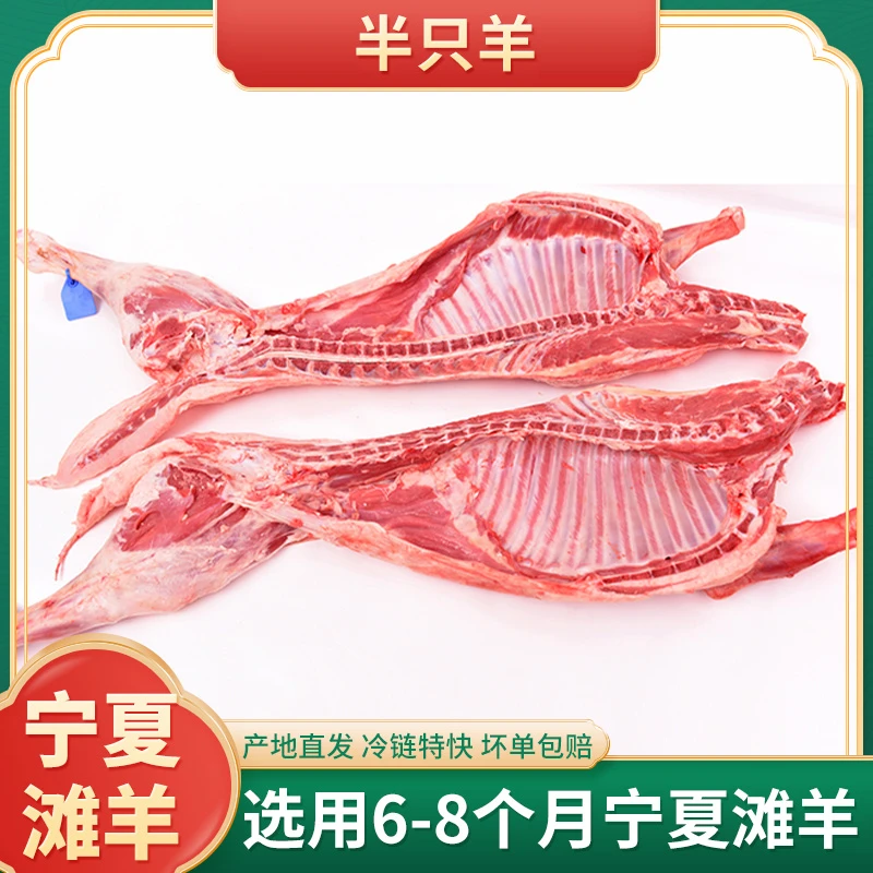 宁夏滩羊肉正宗盐池草原散养羊羔羊肉【半只羊】