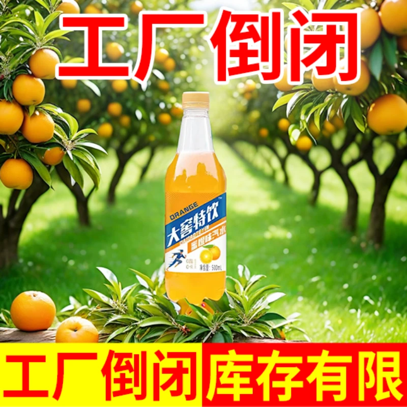 大窖特饮味汽水老牌子大窑同款橙味香槟味荔枝味饮品小瓶装正宗