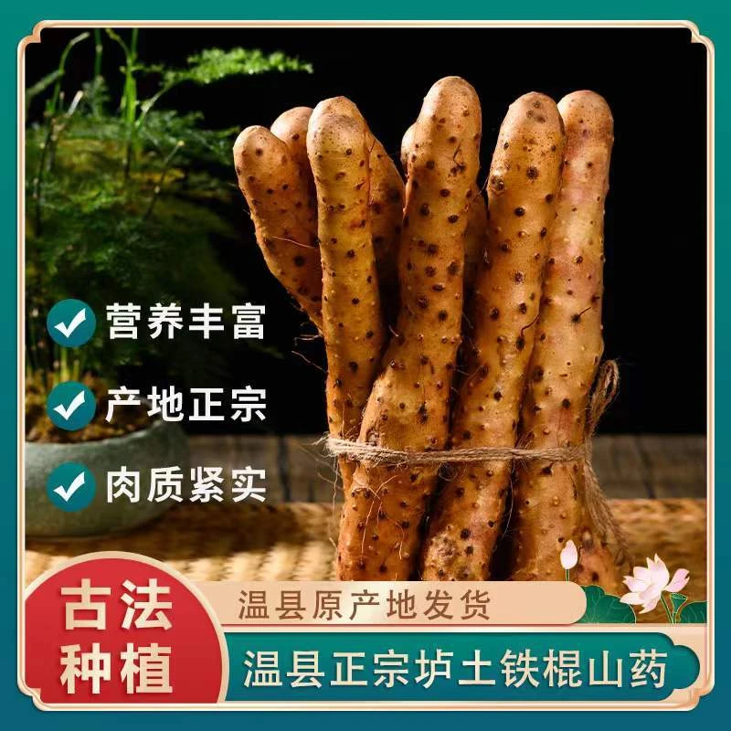 正宗温县铁棍山药新鲜精品软糯香甜营养高5斤装原产地山药精品装