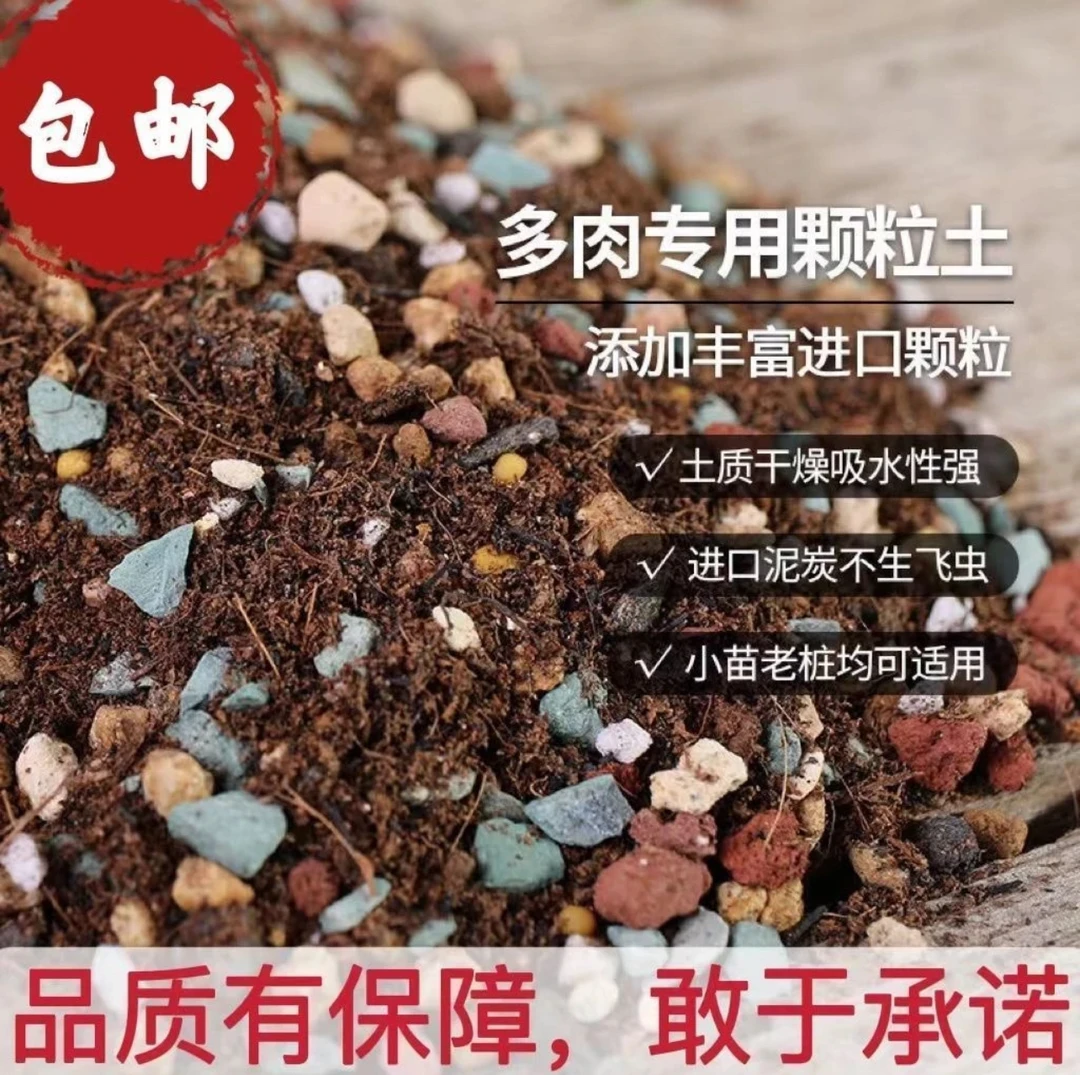 阿福多肉进口颗粒土控型增色抗病害（大鹏专用）