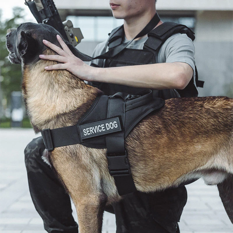 狗狗牵引绳背心式夏天拉布拉多狗绳狗链子大型犬加粗防咬断防爆冲