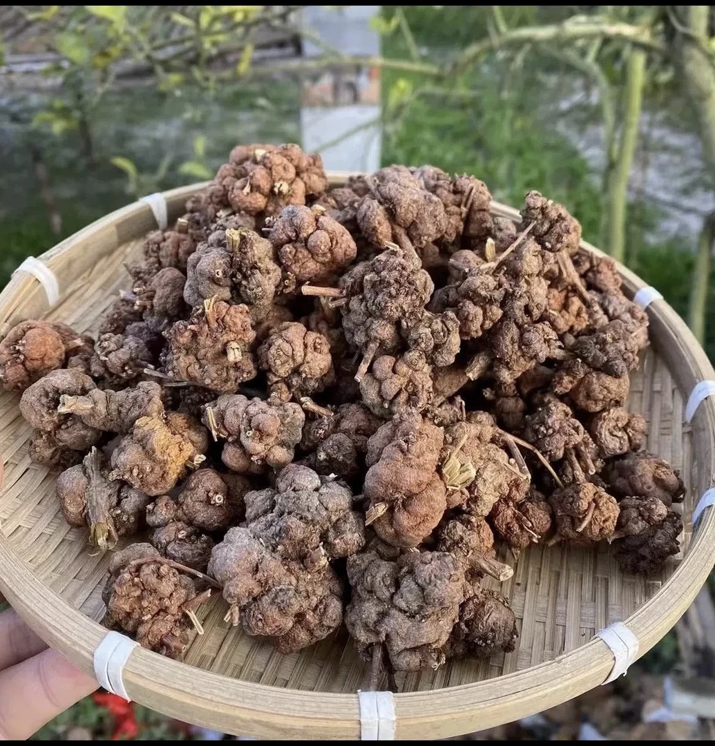 大山山货【消留 果】泡水 煮水
