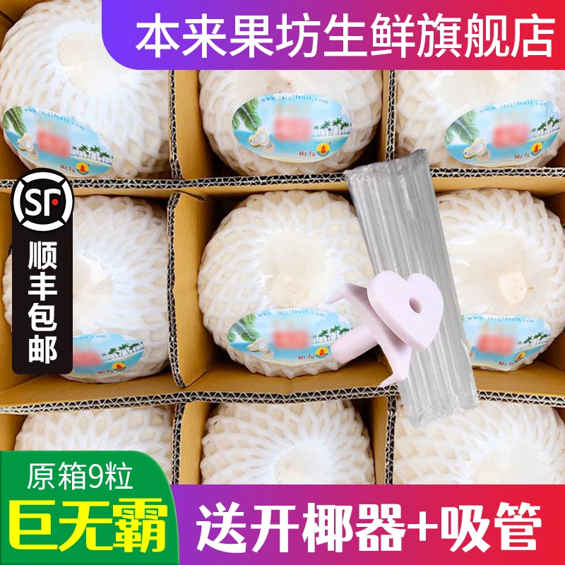 泰国香水椰青4/9粒原箱单果1000g+ 顺丰包邮 送开椰器+吸管椰子