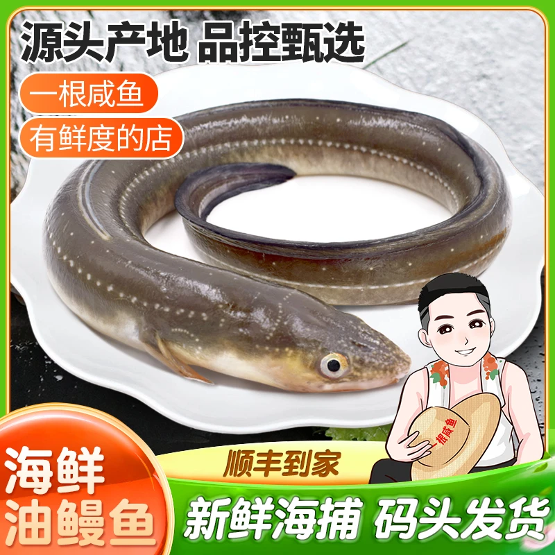 【小鳗】拍下15条再赠2条到手共17条小油鳗鱼可蒸可烤整条沙鳗3.5斤