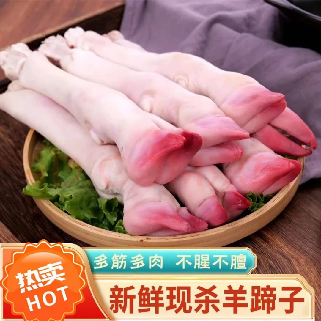 生鲜清真新鲜育肥羊蹄筋多肉多羊脚产地直发冷链发货优质