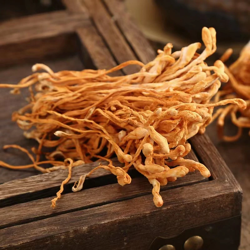 蛹虫草150克新货无熏硫煲汤