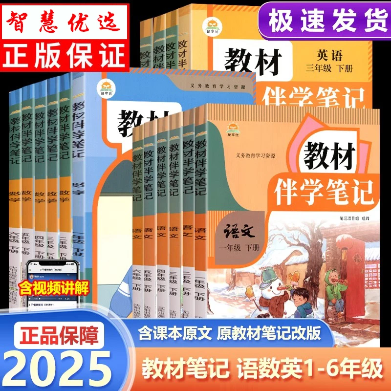 2025春小学教材伴学笔记一二三四五六年级下册语文数学英语人教版
