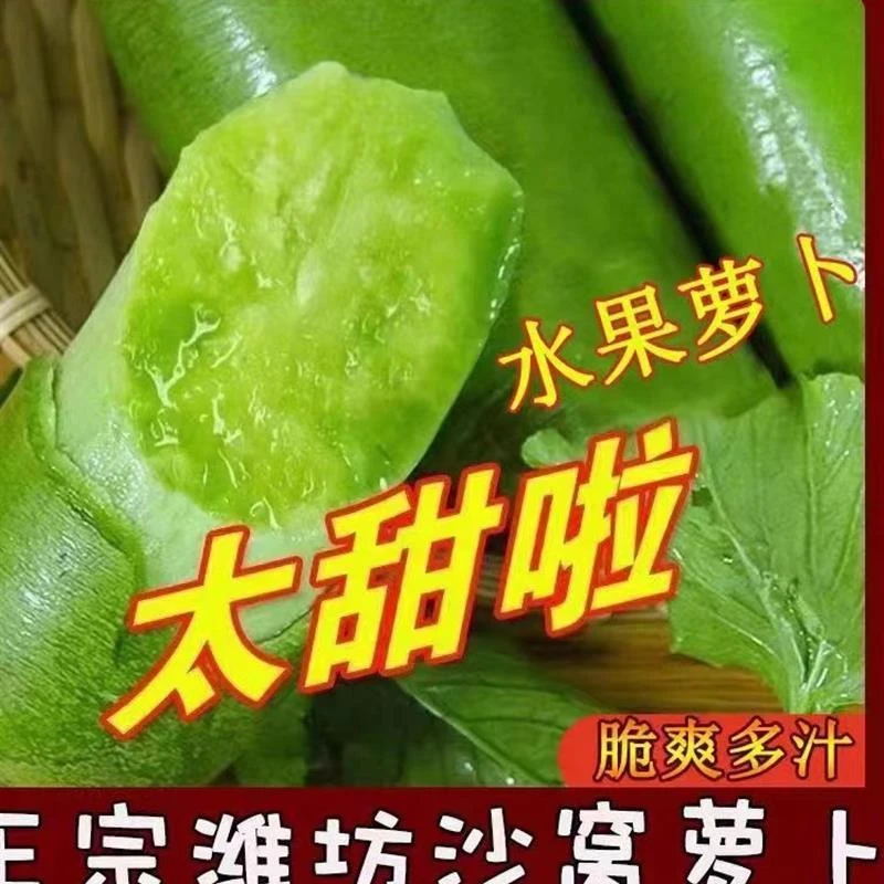 潍坊水果萝卜正宗潍县水果萝卜夏庄青萝卜脆甜萝卜新鲜水果蔬菜