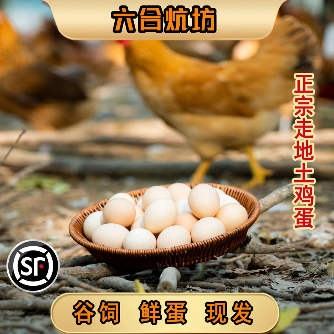 【六合炕坊】正宗土鸡蛋现捡现发新鲜土鸡蛋新鲜土鸡蛋散养土鸡蛋