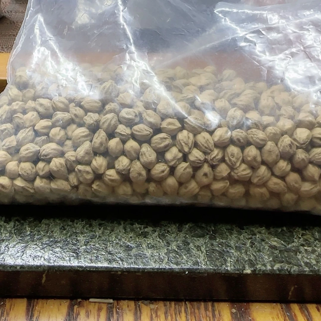 【闪购商品】柏香籽/百香籽吊坠愚