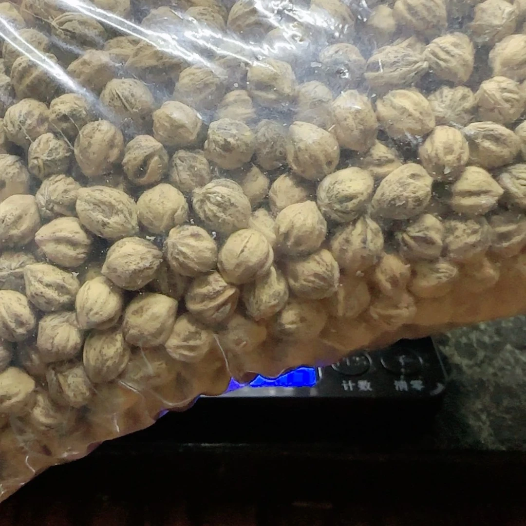 【闪购商品】柏香籽/百香籽吊坠傲****头