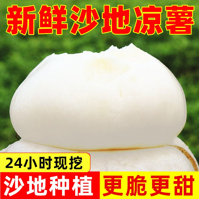 【坏果包赔】当天新鲜现挖健康农家凉薯地瓜