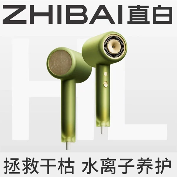 直白水负离子吹风机家用大风力电吹风宿舍吹风筒发廊速干男女士用