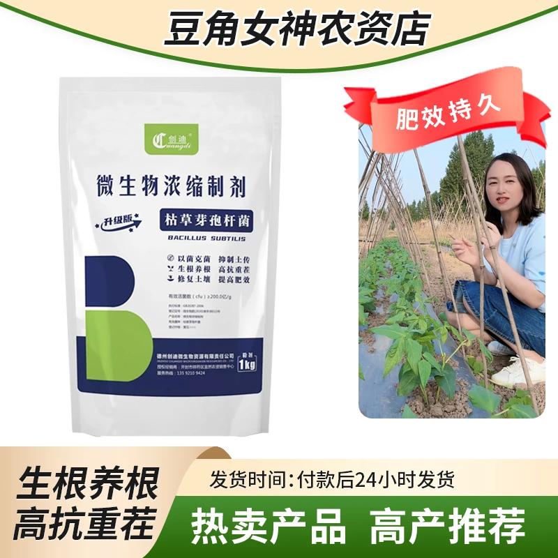 创迪微生物浓缩制剂（枯草芽孢杆菌）活菌科技抗重茬预防根腐病粉剂