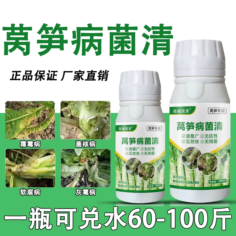 亮威莴笋专用杀菌莴笋专用药菌核病霜霉病软腐病炭疽病有机质肥料