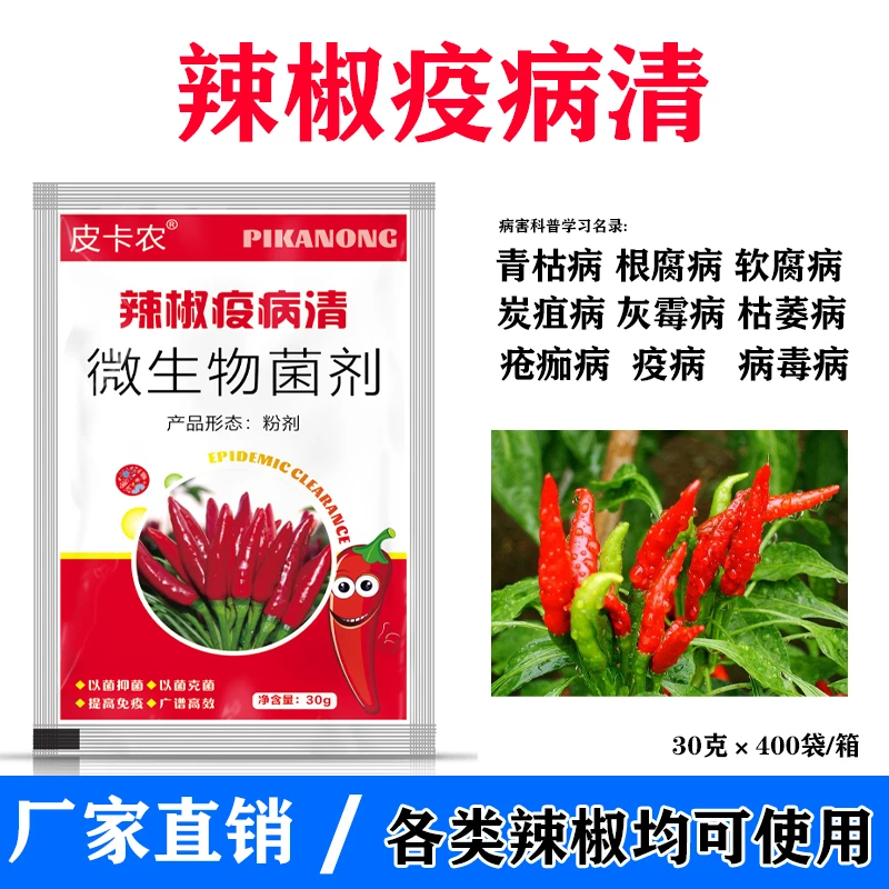 辣椒疫病清辣椒病毒病疫病炭疽病疮痂病黄叶烂果微生物菌剂