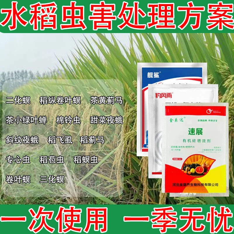 水稻专用杀虫【邓老师粉丝专享福利】稻纵卷叶螟稻飞虱二化螟叶面肥