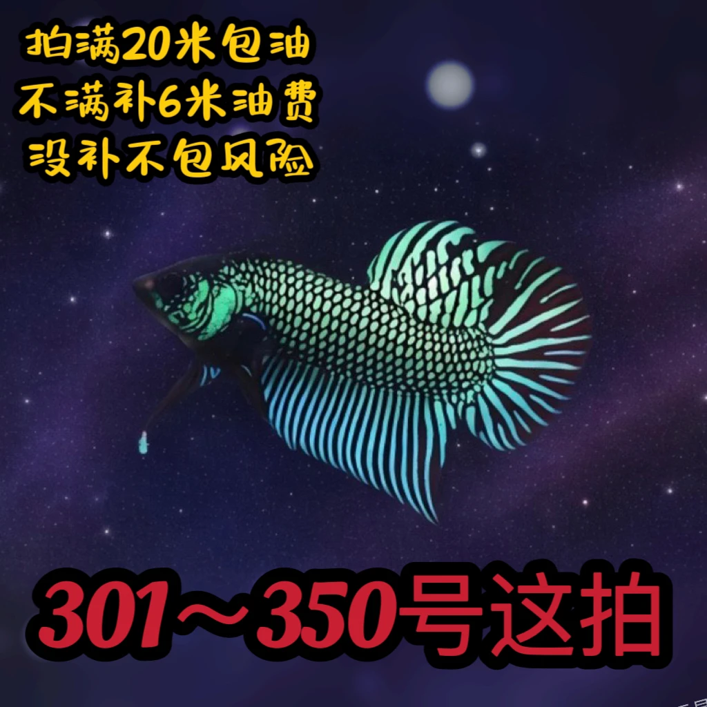 301~350号泰国抖鱼：