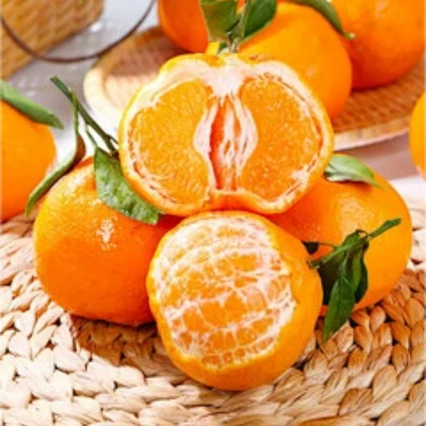 四川耙耙柑中小果约3斤