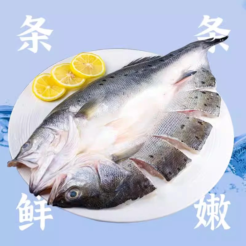 新鲜海鲈鱼开背冷冻鲜活珠海白蕉海鲈鱼水产鲈鱼去鳞去内脏免处理