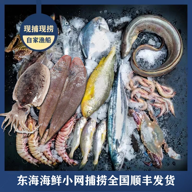 【第一网】东海海捕海鲜套装鱼虾 全国发货
