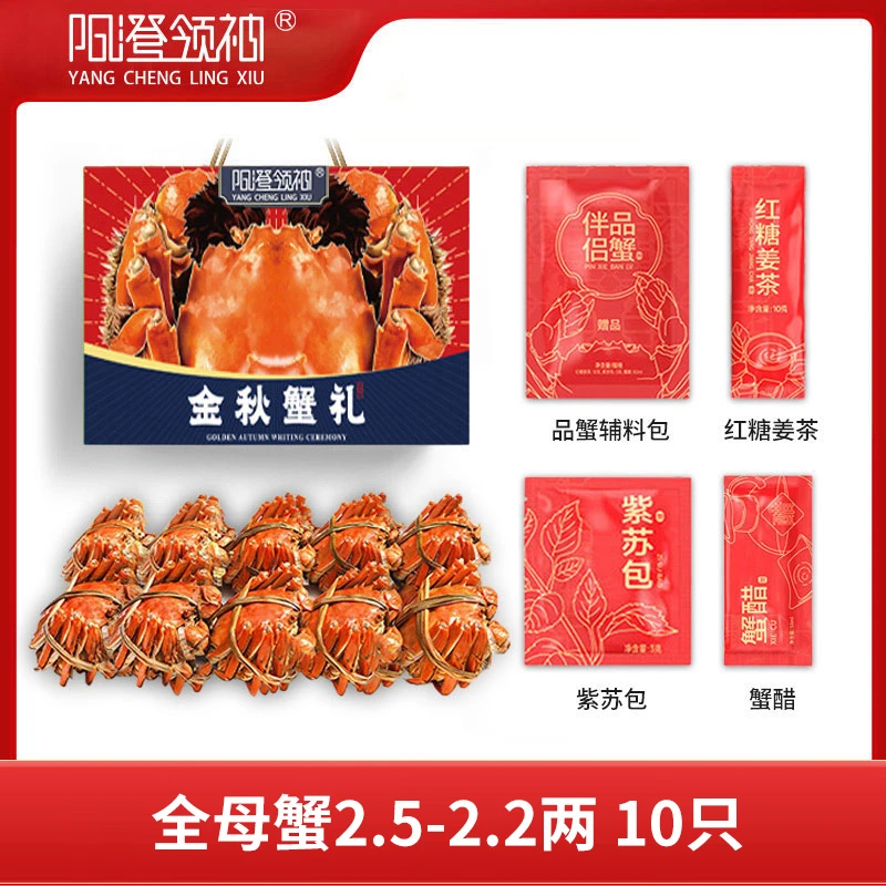 【活蟹】阳澄领大闸蟹全母蟹2.5-2.2两10只鲜活