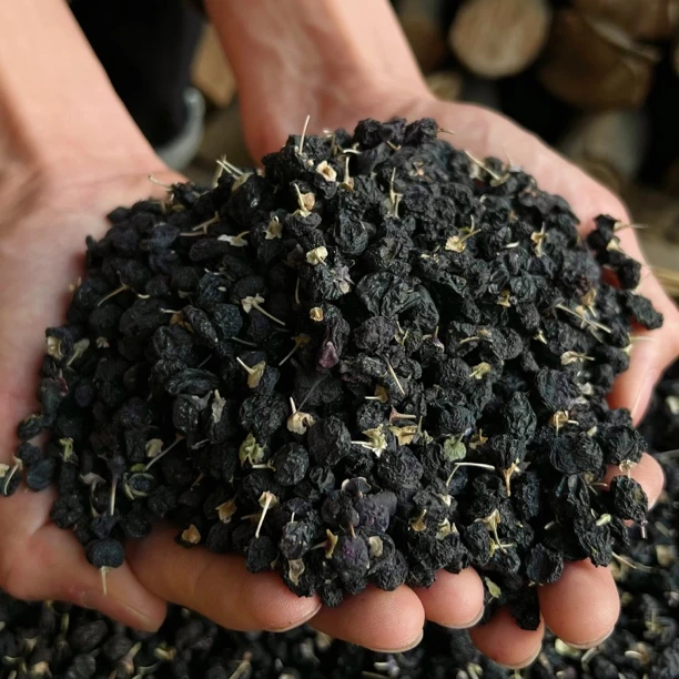 黑枸杞500g 自然生长好山货