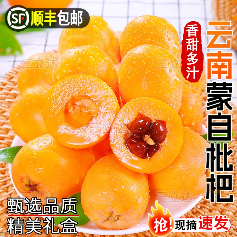 【顺丰速运】正宗云南蒙自枇杷鲜果现摘孕妇水果清甜多汁新鲜整箱装