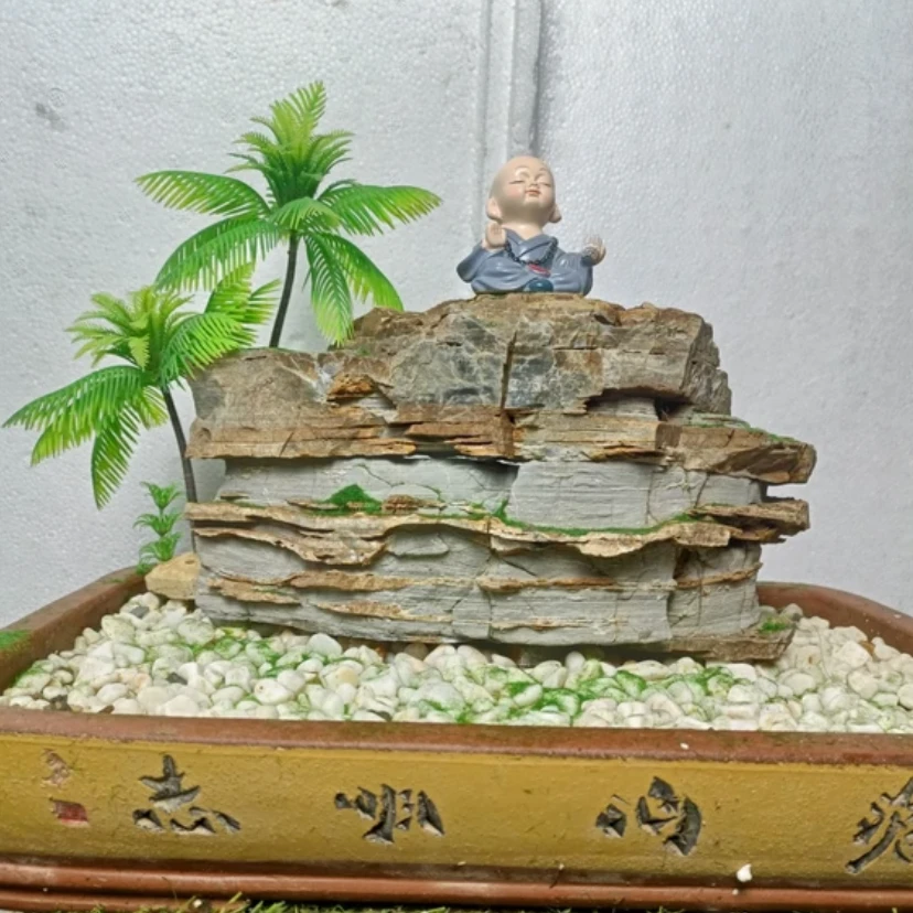 （新疆直发）奇石盆景石造景石可雕刻罗布泊石农