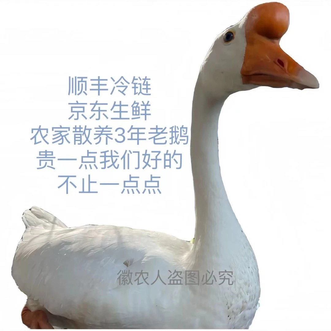 农户纯粮散养新鲜三年老鹅1只装净重5斤以上手工处理锁鲜保鲜配送
