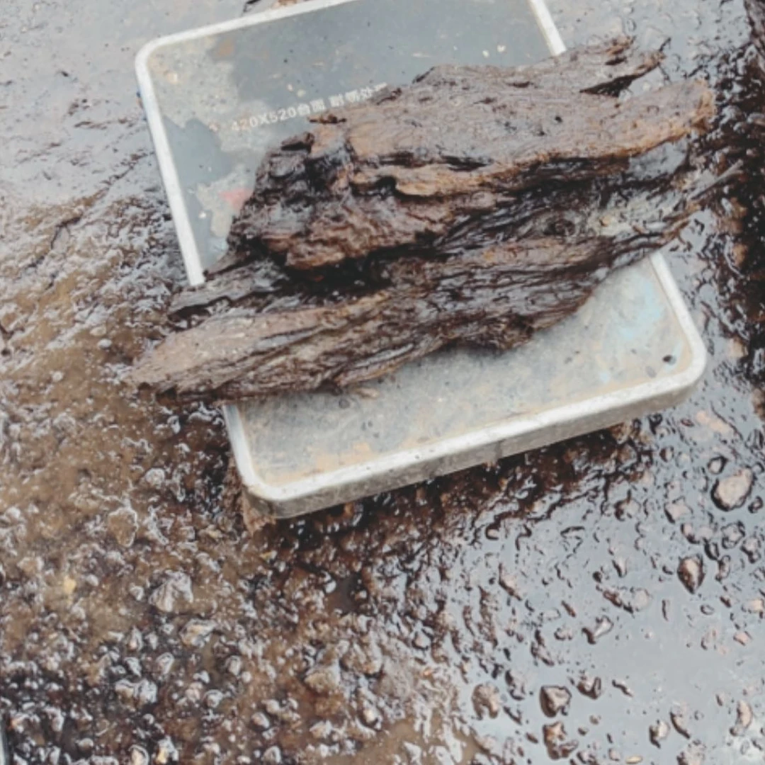 【闪购商品】红贵宝周*