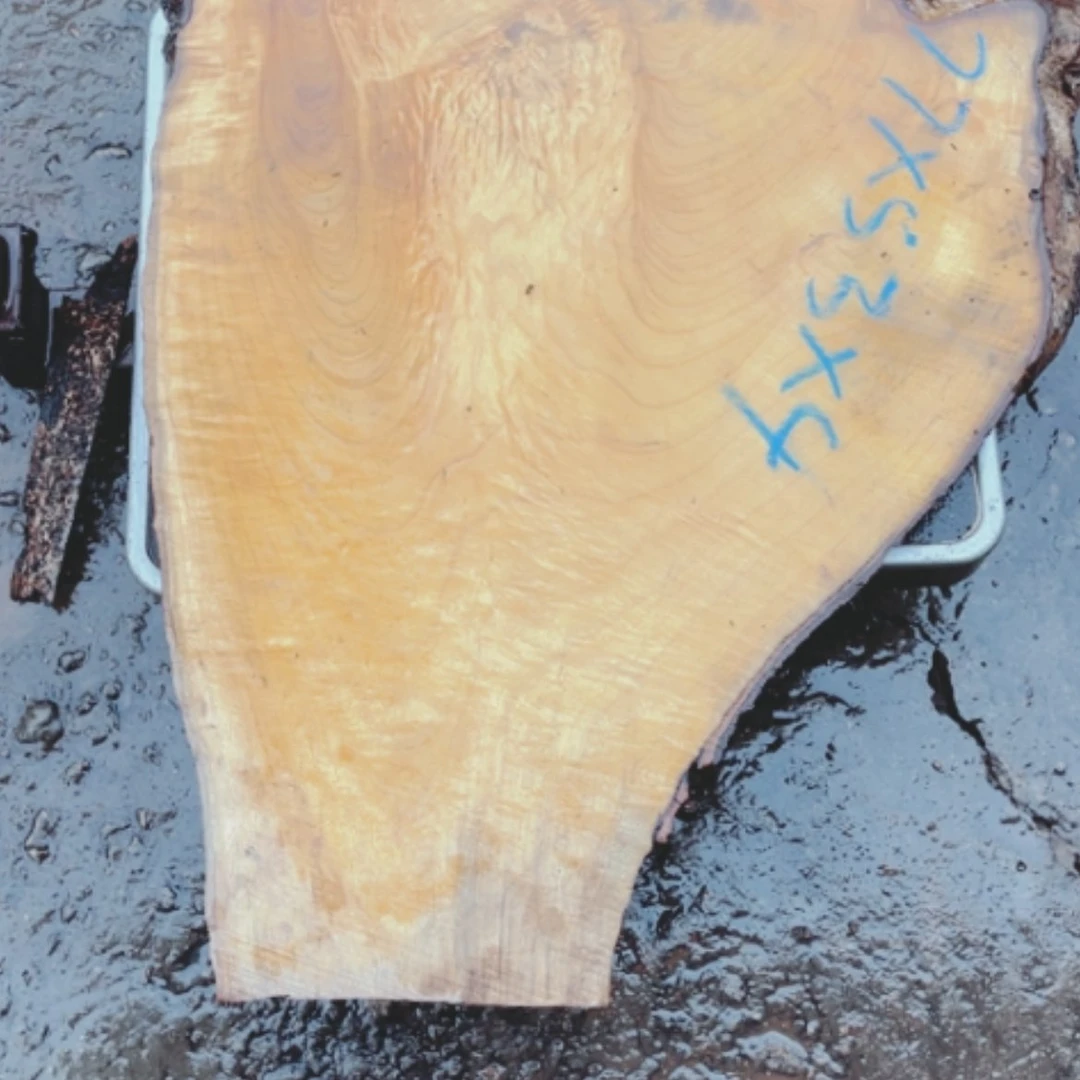 【闪购商品】红贵宝瓶****园