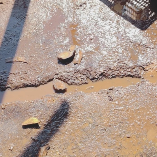 楠木用****2金丝楠木色度和我