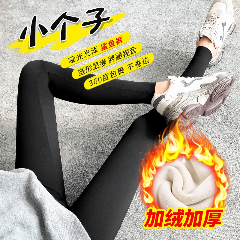 加绒鲨鱼裤女外穿冬季新品收腹提臀弹力小个子八分加厚打底裤九分