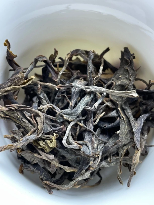 冰岛老寨夏茶古树普洱茶生茶
