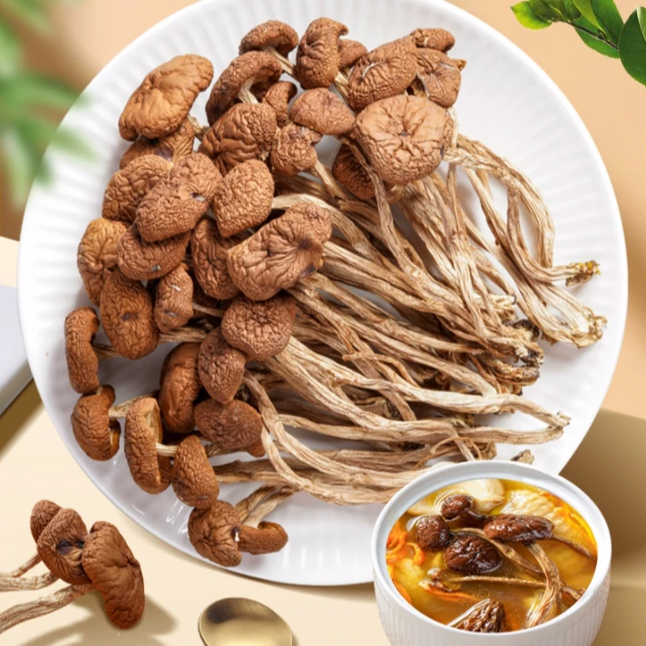-云南土特产 茶-树-菇 250克/500克 煲汤炖肉