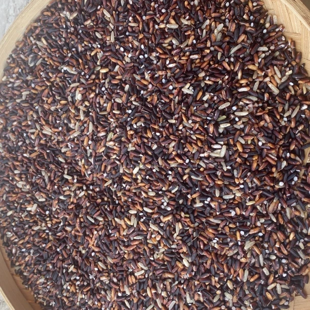 【阳泽滋补】自家种血糯米一袋2斤装包邮鱼胶