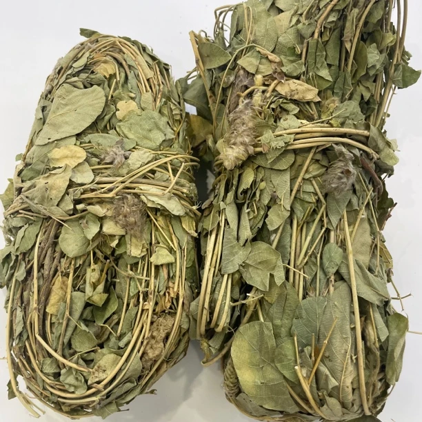 怀集大山里完整野生狸尾草食用带花老身100克/250克/500克