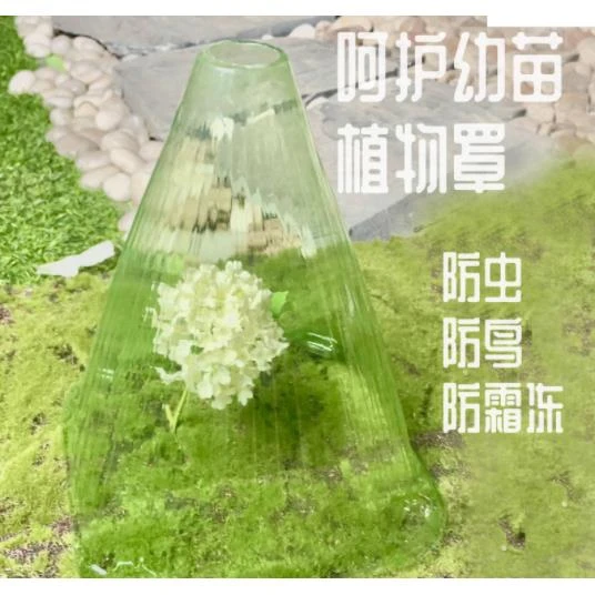 农资园艺保护植物免受伤害透明色辅材