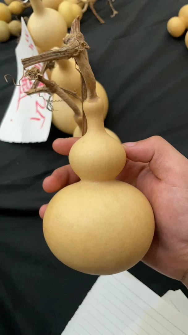 天然小葫芦手把件盘玩文玩带龙头手捻传统开口携带方便