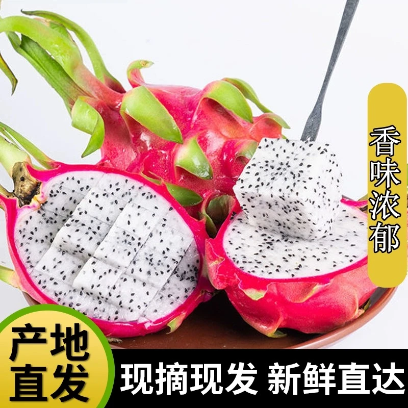 云南白心火龙果当季热带新鲜水果白肉火龙果1-10斤整箱包邮批发