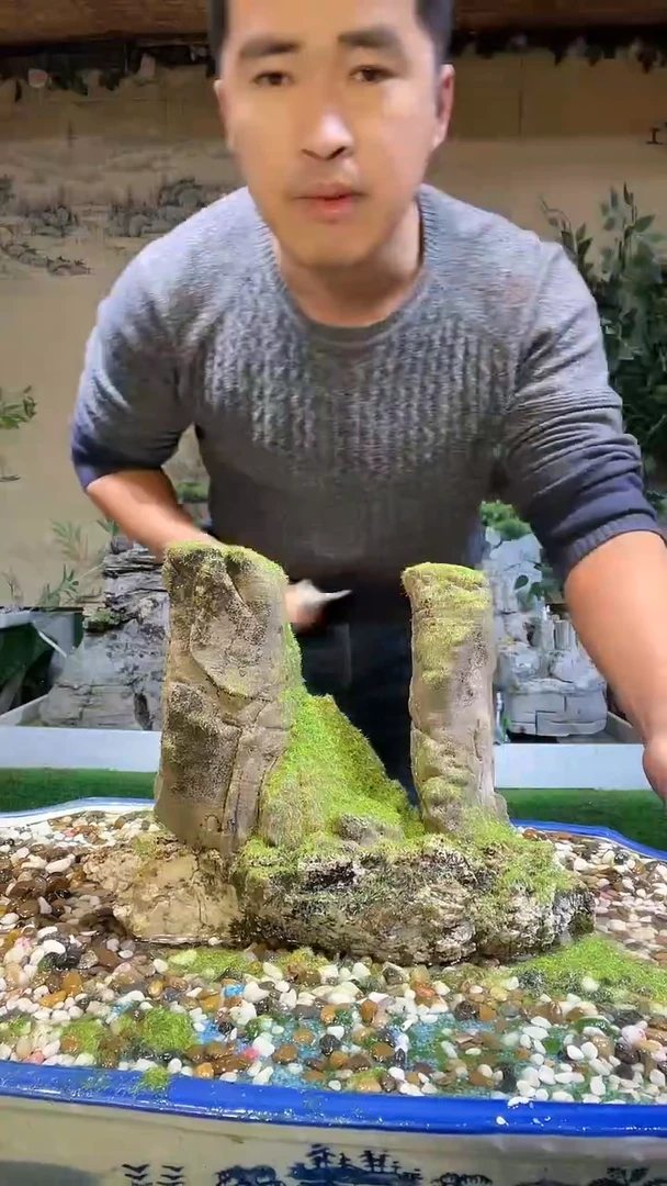 【闪购商品】微景观天然奇石