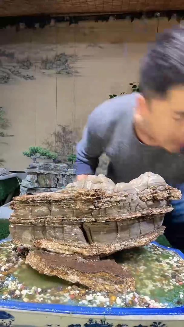 【闪购商品】微景观天然奇石