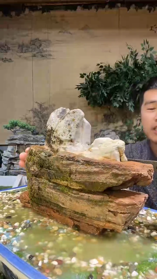 【闪购商品】微景观天然奇石