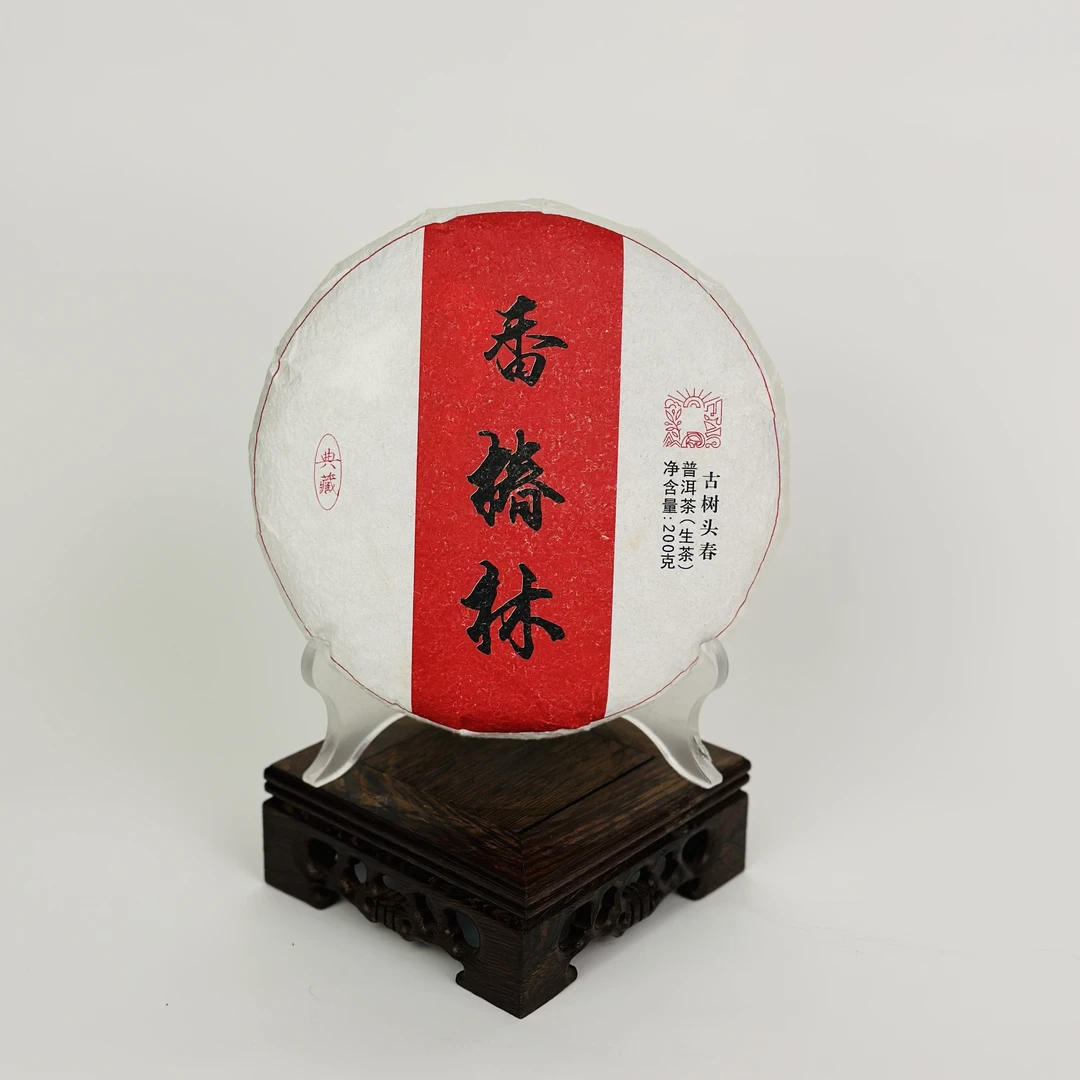 易武 香椿林2023年古树头春