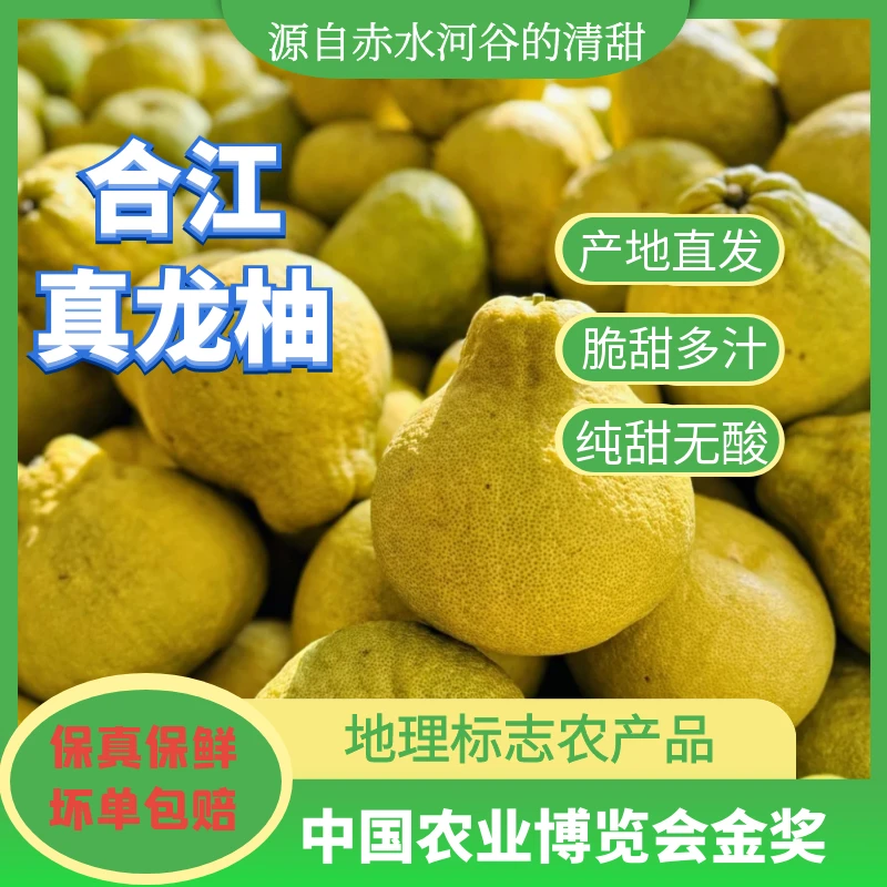 【家庭装】正宗合江真龙柚 纯甜无酸 脆嫩化渣 美味多汁 新鲜柚子