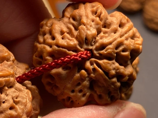 定制款超头货，战斧梅花金刚菩提