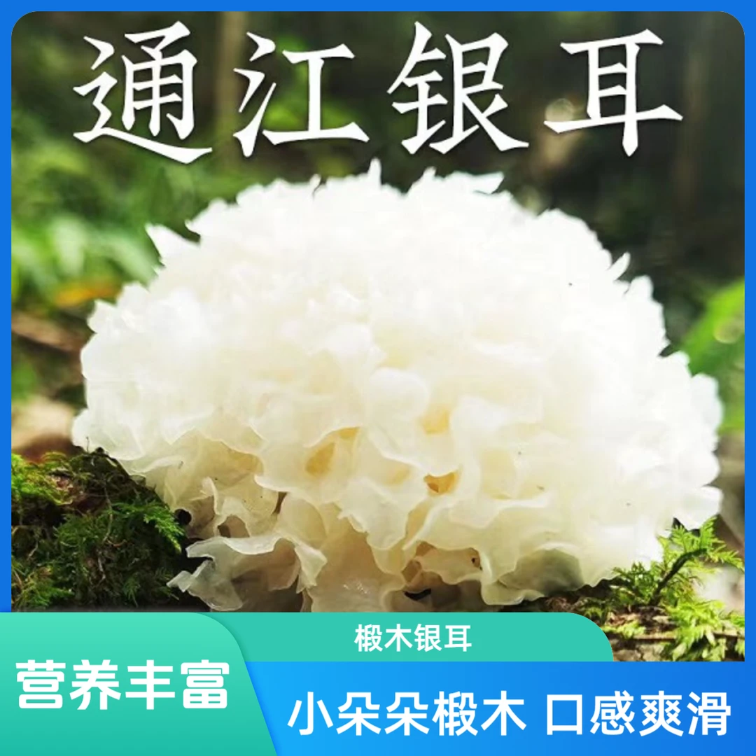 通江【椴木银耳 】 散装称重 营养干净