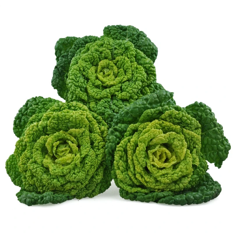 珍口福河南特产黄心菜新鲜蔬菜霜冻青菜泡泡菜现拔现发3/5斤